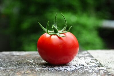 Pomodoro-metoden. En bild på en röd tomat | NTI-skolan
