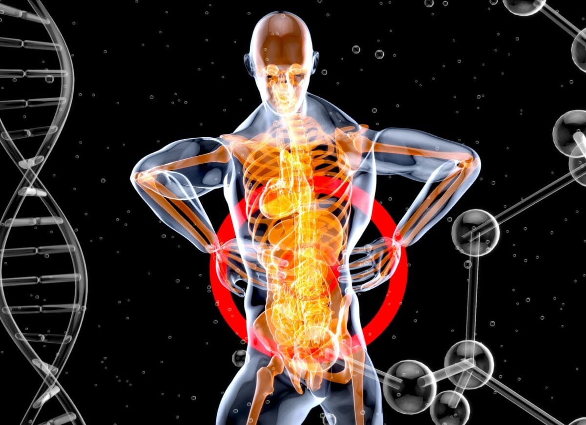 Anatomi och fysiologi nivå 1b | NTI-skolan | Bilden är AI-genererad